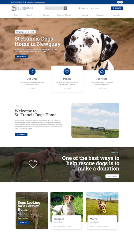 Website Design for a Dog Rehoming Charity